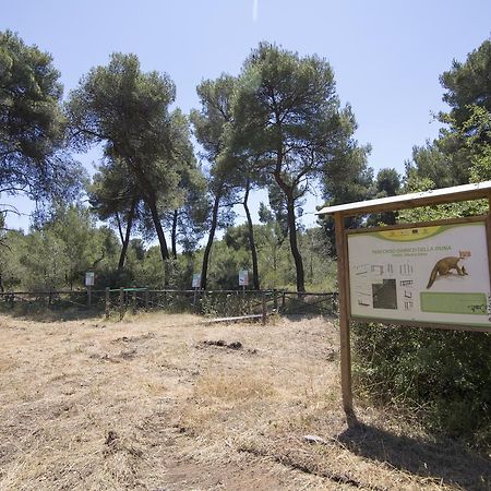 Villaggio Catalano كاستيلانيتا مارينا المظهر الخارجي الصورة