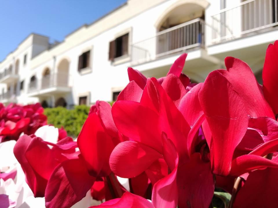 Villaggio Catalano كاستيلانيتا مارينا المظهر الخارجي الصورة